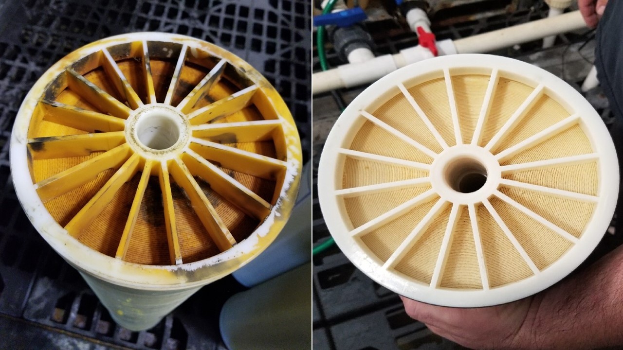 Osafia Membrane Disinfectant CM-MEC 17